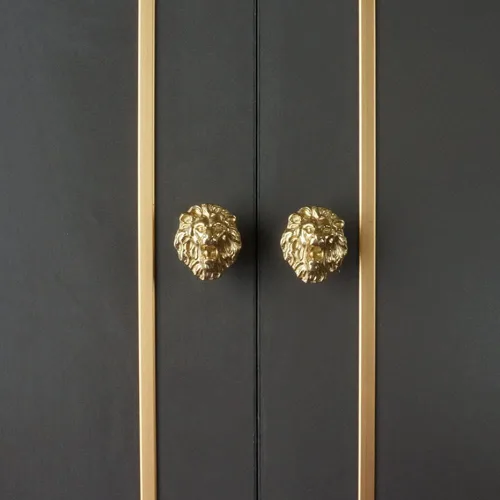 Miniatura 5 de Wwxuanke - Pomo de puerta de león, perilla de león de latón, puerta de un solo agujero, perilla de puerta creativa de cabeza de león de animal