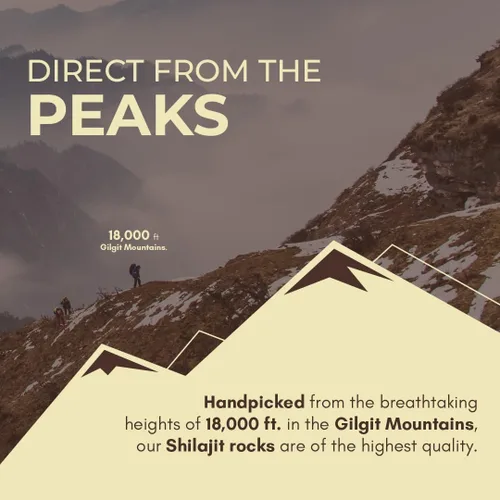 Miniatura 5 de Leaftouch - Auténtica resina Shilajit de grado dorado, resina Shilajit pura del Himalaya, orgánica y de alta potencia, más de 85 minerales de traza