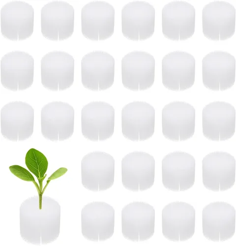 Miniatura 10 de M METERXITY Paquete de 50 esponjas hidropónicas, esponjas cilíndricas de medio de cultivo de 1.97 pulgadas para plantar herramientas de Blanco