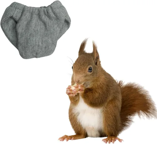 Miniatura 9 de Pañales lavables de ardilla – Pañales de tela reutilizables extra pequeños para mascotas, altamente absorbentes, a prueba de fugas, pantalones 3