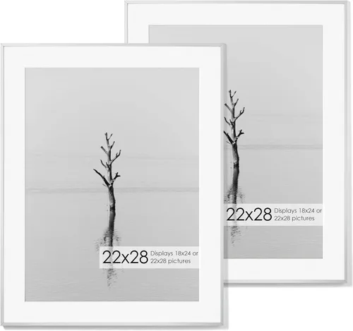 Miniatura 243 de Portarretratos de metal de 16 x 20 pulgadas con paspartú de 11 x 14 pulgadas, acabado de aluminio cepillado, parte delantera de vidrio templado