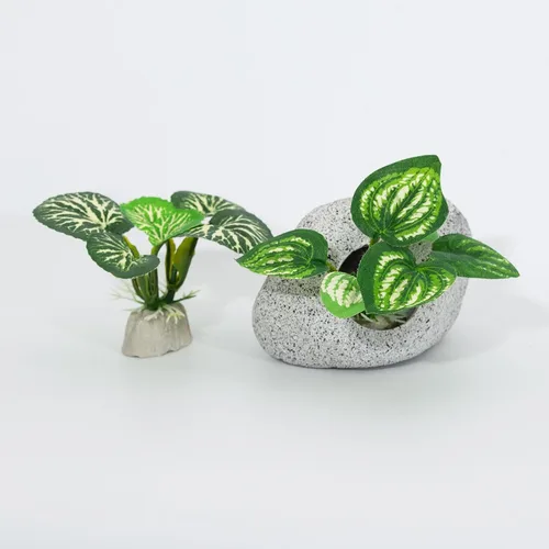 Miniatura 2 de Decoraciones de acuario de peces con ventana de visualización para decoración de peceras Betta Verde 2