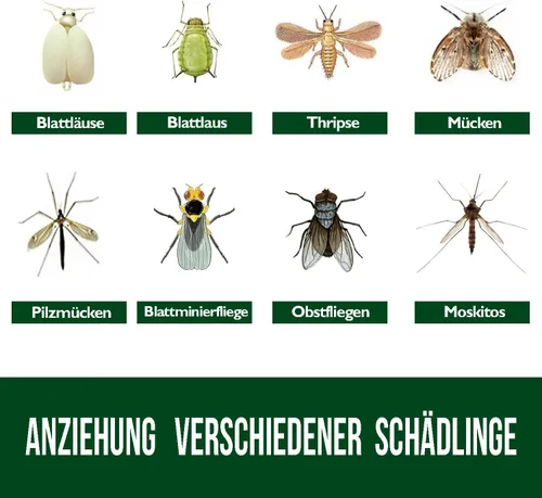 Miniatura 3 de Garsum Trampa para Moscas de la Fruta Amarilla Pegajosa 18 piezas Matamoscas de Hongos para Plantas de Interior y Exterior Atrapador de Insectos