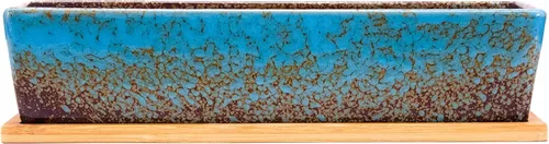 Miniatura 2 de ARTKETTY Macetas de suculentas - Macetas grandes para suculentas con drenaje, maceta de bonsái rectangular larga de 12 pulgadas con bandeja