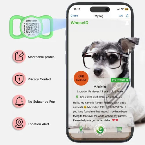 Miniatura 4 de Etiqueta para perro con código QR con NFC, etiqueta de identificación de mascota personalizada, etiqueta de identificación de perro de silicona Verde