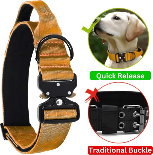 Miniatura 3 de Collar táctico para perro resistente, nailon ajustable con hebilla de metal, varios colores (naranja, L)