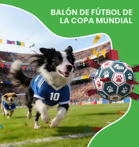 Miniatura 3 de QDAN Pelota de fútbol para perros con correas, juguetes interactivos de forcejeo, juguete de cumpleaños para cachorros, juguete acuático, para rojo
