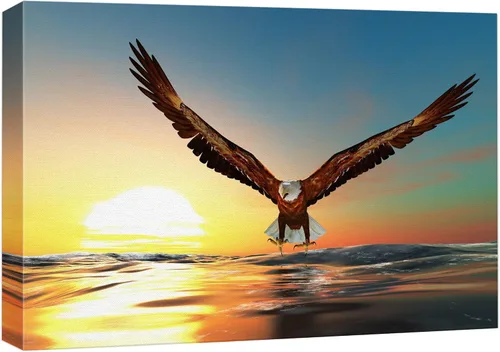 wall26 - Impresiones en lienzo para pared - Águila calva volando sobre el mar | Decoración moderna de pared/decoración del hogar, lienzo estirado