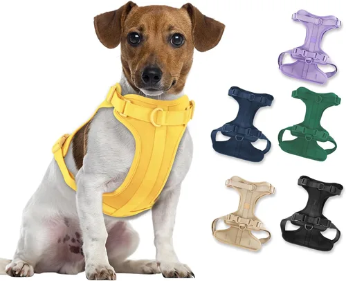 Miniatura 19 de Arnés ligero para perro sin tirones: arnés ajustable y duradero de malla transpirable con cojín suave y cómodo, para perros pequeños, medianos y Lila