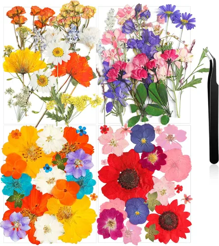 Miniatura 7 de Nuanchu Flores secas prensadas negras para manualidades, flores secas góticas, flores silvestres prensadas naturales a granel con pinzas para molde