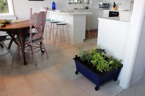 Miniatura 3 de Emsco Grupo Bountiful caja de cultivo, cama elevada para cosechar, maceta hidrofónica, no eléctrica