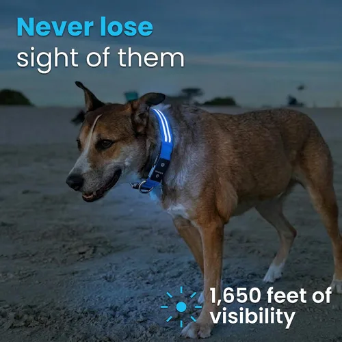Miniatura 2 de Tractive Collar de perro con luz LED recargable USB impermeable (azul)