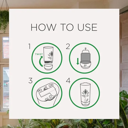Miniatura 5 de Air Wick Recambio automático de ambientador en aerosol, 2 unidades, delicias de verano, neutralización de olores, aceites esenciales (paquete de 2)
