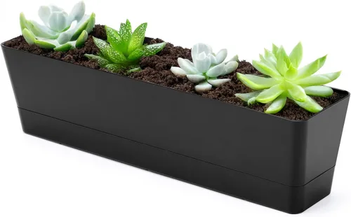Miniatura 9 de GREANER Maceteros de hierbas de 12 x 3.8 pulgadas, 1 paquete de cajas rectangulares con bandeja, maceta de plástico para suculentas