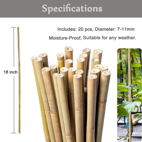 Miniatura 2 de 20 estacas de bambú natural de 18 pulgadas para plantas de interior, palos de bambú, estacas de bambú de jardín para plantas en maceta, tomate