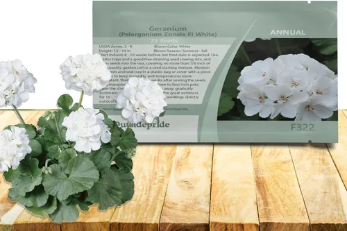 Miniatura 8 de Outsidepride Semillas de geranio bicolor rosa para plantar, 25 piezas anuales, tolerantes al calor y la sequía semillas de flores con follaje verde
