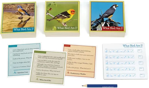Miniatura 4 de Outset Media What Bird Am I? – El juego de identificación de aves – Contiene 300 cartas para 2 o más jugadores a partir de 14 años