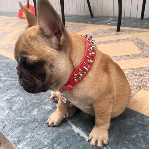 Miniatura 5 de TEEMERRYCA - Collares para perro ajustables de piel de microfibra con tachuelas y una pelota chillona de regalo, para mascotas pequeñas, medianas