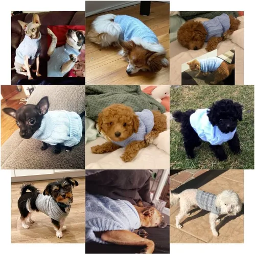 Miniatura 5 de Suéteres tejidos para perros pequeños, sudadera cálida para mascotas y gatos, ropa de invierno, suéter para gatitos y cachorros (Grande, azul claro)