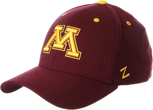 Miniatura 23 de ZHATS - Sombrero ajustado elástico para hombre de la NCAA, color del
