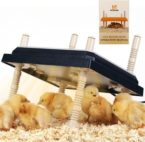 Calentador de criador para pollitos: placa calefactora de pollos con placa de fácil limpieza, calentador de gallinero para aves de corral,