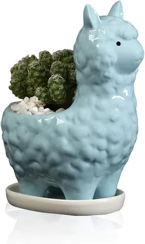 Lependor Bonita maceta para suculentas con bandeja de drenaje, contenedor de cerámica blanca para cactus o flores, soporte para bonsái de alpaca