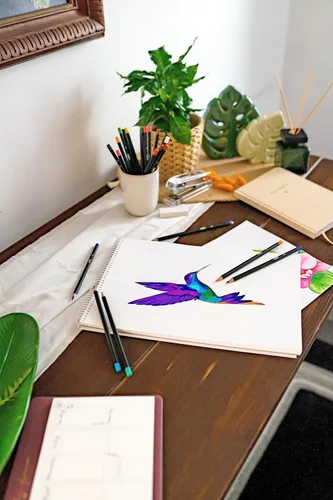 Miniatura 3 de BIC Intensity Lápices de colores en estuche de cartón de alta calidad apto para adultos, varios colores, paquete de 24