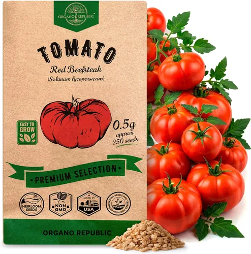 Miniatura 14 de Organo Republic Paquete de Semillas de Lechuga Hoja de Roble 1 G - Más de 800 Semillas de Lechuga Reliquia Sin OMG para Plantar Verduras en Paquete