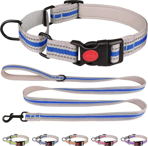 Collar Martingala para perros, juego de collar y correa Martingala reflectante acolchado de neopreno suave con hebilla de seguridad, collar Azul