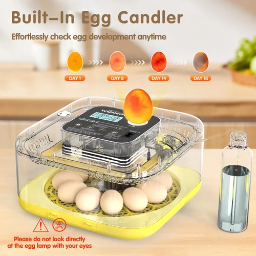 Miniatura 5 de HOWOOlUA Incubadora de 12 huevos para incubar huevos con giro automático, control de temperatura y humedad, incubadora de gran capacidad