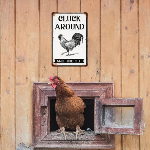 Miniatura 6 de Letrero de metal "Cluck Around and Find Out" para decoración de pared de gallinero en casa, cocina de granja, accesorios para gallinero, decoración