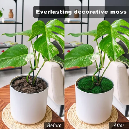 Miniatura 5 de TurelinnG Decoración de musgo preservado, musgo de bosque real, musgo para manualidades, flexible para manualidades, hogar, pared, terrario