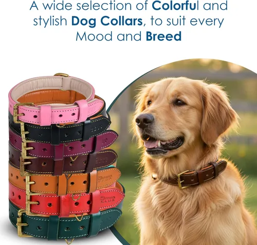 Miniatura 5 de Collar de perro de cuero para perros medianos, marrón, 1 pulgada de ancho, cuero genuino de grano completo, resistente con acolchado interior suave