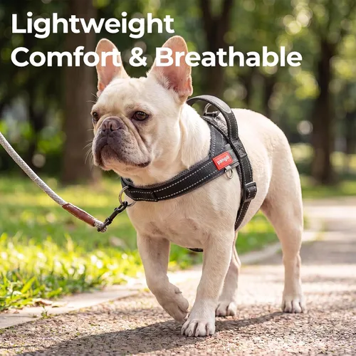 Miniatura 4 de Arnés para perro sin tirón con asa, chaleco reflectante ajustable Corgi, arnés para mascotas acolchado con malla de aire transpirable con clip