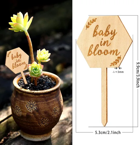 Miniatura 3 de Parbee - Etiquetas hexagonales «Baby in Bloom» ecuerdos de baby shower, 20 etiquetas para suculentas, regalos de madera, estacas para jardín