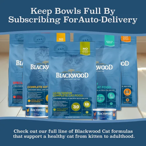 Miniatura 8 de Blackwood Alimento seco para gatos, fórmula magra y para personas mayores, receta de harina de pollo y arroz integral, bolsa de 4 libras, alta