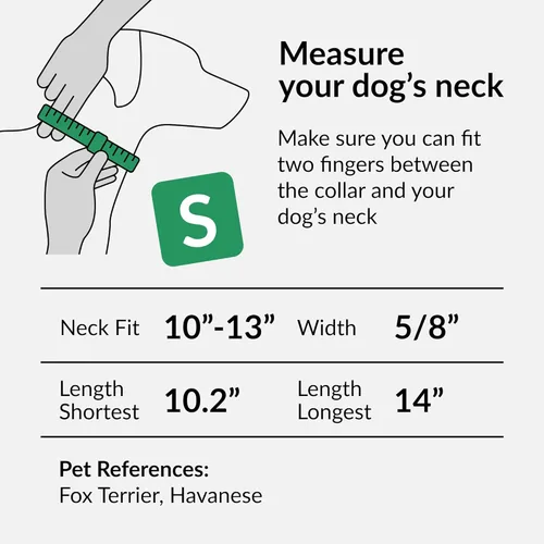Miniatura 7 de CollarDirect Collar reflectante para perro o cachorro pequeño, mediano y grande con hebilla de liberación rápida, para niños y niñas, nailon
