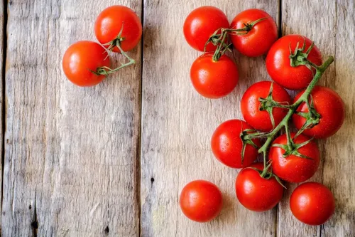 Miniatura 4 de Semillas de bonsái de tomate de interior 30+ semillas para plantar tomate enano de interior variedad de tomate autopolinizador