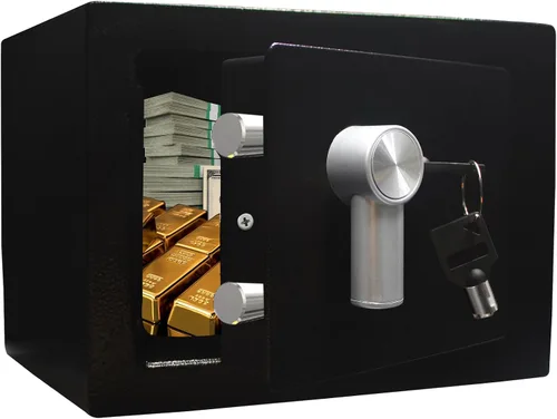 Yuanshikj Caja fuerte de acero – Llave cerrada, 0.2 pies cúbicos pequeña caja fuerte para el hogar para dinero en efectivo y joyas (negro)