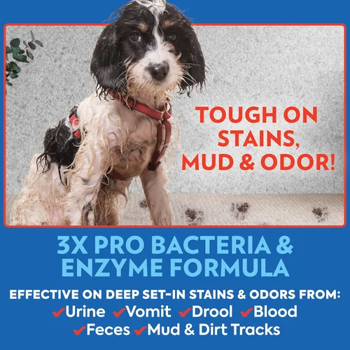Miniatura 3 de OUT! PetCare - Spray removedor de olores y manchas para mascotas, limpiador de alfombras y pisos, desodorante para perros y gatos, fabricado