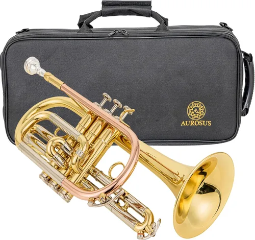Corneta Bb ACR 8330 para principiantes y jugadores intermedios, válvulas de acero inoxidable, calibre ML, tubo principal de latón dorado de 120 mm,