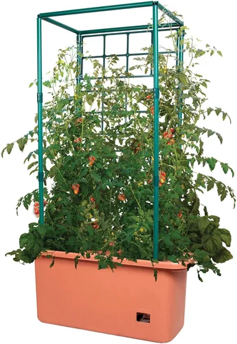 Miniatura 2 de Hydrofarm GCTR 10 Gal Sistema de Cultivo de Jardín de Tomate con Torre de Enrejado de 4 Pies con Ruedas para Enredaderas, Flores y Jardines