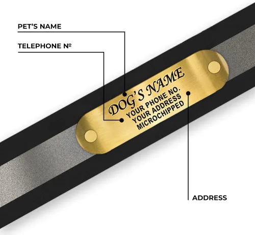 Miniatura 4 de Regal Dog Products Collar de perro reflectante negro pequeño con placa de nombre grabada personalizada y anillo central resistente Collares