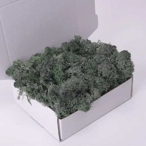 Miniatura 14 de Musgo preservado, musgo de 3.5 onzas para manualidades, decoración de musgo sintético, musgo verde natural para decoración de pared de floristería
