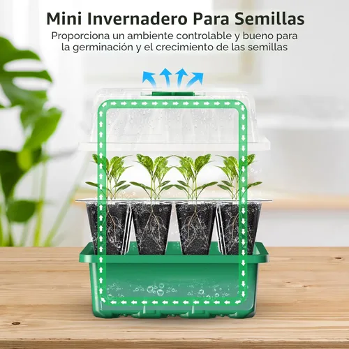 Miniatura 4 de MIXC Kit de iniciación de semillas de 10 paquetes con cúpula de humedad (bandeja total de 120 celdas), bandejas de inicio de semillas, kit de Verde