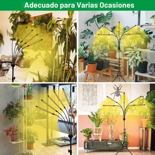 Miniatura 7 de yentbokj Lámparas LED ajustables de 5 cabezas, lámpara de cultivo de espectro completo con temporizador, luz blanca cálida para plantas