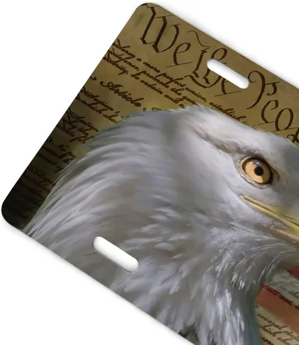 Miniatura 2 de Placa de matrícula delantera de aluminio con bandera estadounidense de águila calva, placas de matrícula decorativas, divertida placa de metal