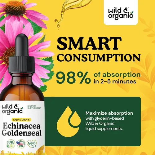 Miniatura 4 de Wild & Organic Echinacea Goldenseal - Suplemento de apoyo inmunológico con extracto de raíz de equinácea de sello dorado, tintura vegana, sin azúcar