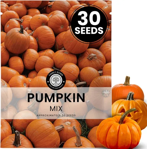 Miniatura 19 de Shishito Pepper – 60 semillas premium para plantar – Pimienta especial dulce, salada y de alto rendimiento para la temporada 2026 – Bolsa de 500