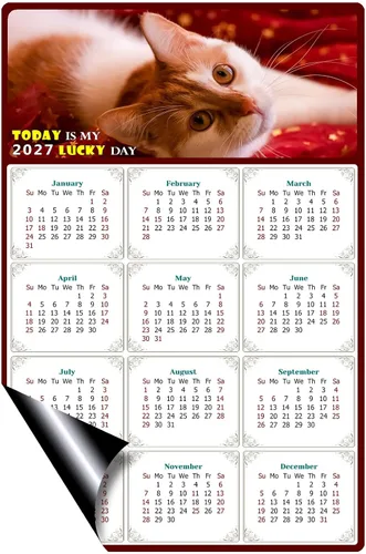 Miniatura 2 de Calendario magnético 2024 – Imanes del calendario – Today is my Lucky Day – Resistente a la decoloración, desgarros y agua – Temática de gato 07